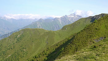 hory, Alpy, vysokohorský, stezka, krajina, pastvina, Příroda