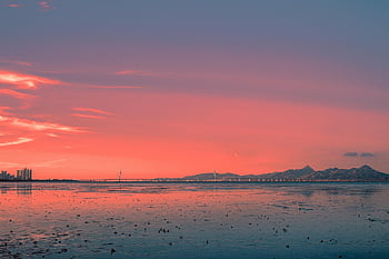 skyline, beach, sea Bridge, nature, shenzhen Bay, sunset, horizon, evening Sky, sky, sea, tidal Flat