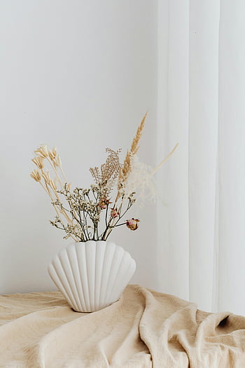 BEIGE Still Life, piante secche, vaso a forma di guscio, Elegante minimalista, tende morbide, fiori secchi, Vaso a forma di conchiglia, Still Life minimalista, arredamento beige, trame morbide, toni neutri