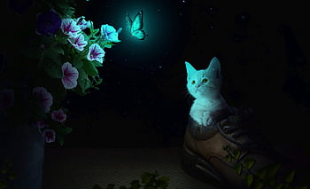 めお、 độngVật、 bướm、 ネコ、 動物、 好奇心が強い、 野良猫、 ペット、 猫の目、 色、 蝶々