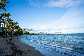 Here are the most relevant photo keywords for SEO based on the provided caption, description, and the image:

- tropical beach
- palm trees
- ocean waves
- sunny day
- beach scene
- serenity
- tropical scenery
- gentle waves
- travel destination