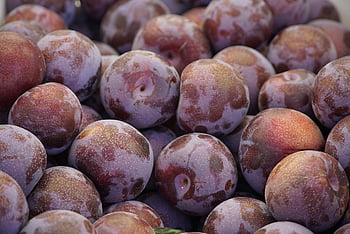 plums, fruits, harvest, produce, close Up, macro, food, red, fruit