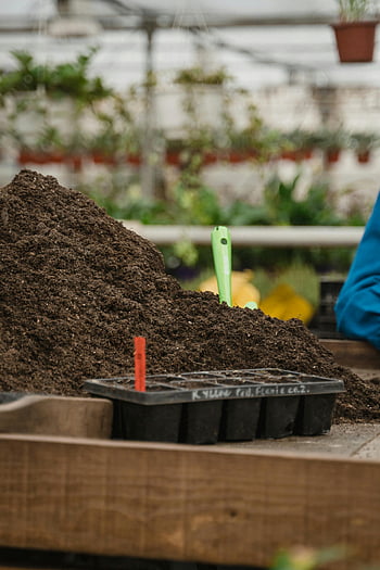 suelo, mesa, invernadero, bandeja de plántulas, plantación, de cerca, jardinería, horticultura, tierra para macetas, cuidado de las plantas, inicio de la siembra