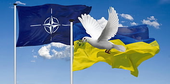 nato, ukraine, flags, dove Of Peace, solidarity, banner, dove, peace, world Peace, earth, eastern Europe