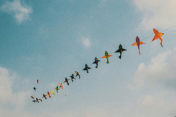 draci, různé barevné draky, zářivé draky, jasné modré nebe, slunečný den, barevné draky, létající draky, venkovní aktivita, pouštění draka, Sky dekorace, Rekreační činnost
