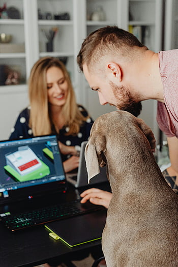 Mann mit Laptop, Kollegen arbeiten zusammen, Büroumgebung, Computer zur Hundebeobachtung, Arbeitsplatz, professionelle Einstellung, Zusammenspiel, Büro Hund, technologische Nutzung, Büroalltag, Zusammenarbeit