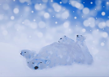 Orsi polari, famiglia di orsi polari, i fiocchi di neve, natura, la neve, disegno, animali, Natale, carina