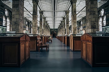 man sitting on bench, museum hallway, symmetrical columns, wood displays, elegant view, museum interior, long hallway, architectural design, indoor setting, historical building, display cases