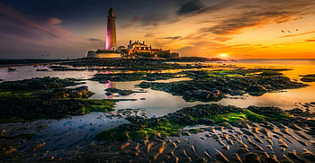 White Lighthouse, St Mary's Lighthouse, sunset, vibrant sky, serene reflections, coastal scene, lighthouse photography, beach landscape, natural beauty, evening light, rocky shore
