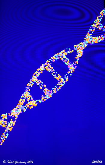 dna, Moire efekt, dvojitá spirála, modré pozadí, abstraktní umění, světlé barvy, venkovní scénu, rockville, Maryland, digitální fotografie