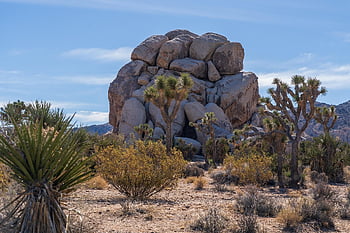 rock, desert, boulder, nature, joshua Tree