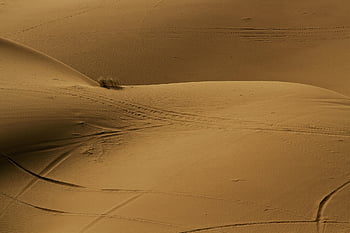 grass, shadow, desert, sand, nature, landscape, minimal, iran, kashan