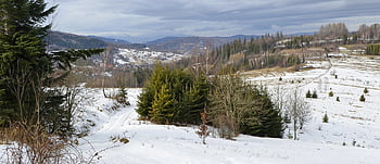 krajina, panoráma, hory, zimní, způsob, sníh, beskids, mraky, nebe, Příroda, pole