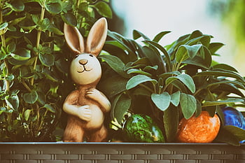 easter, easter Bunny, easter Festival, spring, figure, easter Decoration, happy Easter, greeting Card, freedom Of Text, nature, cute