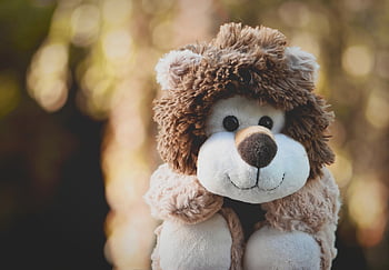 stuffed Animal, lion, fun, cute, kuschelweich, cuddly Toy, toy, to Play, nature, children's Toys, cozy