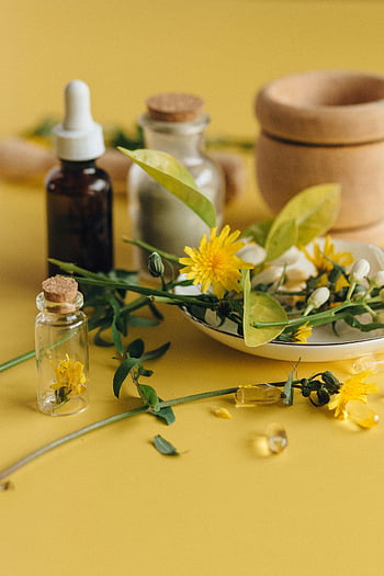 Alternativní léky, sušené byliny, éterické oleje, přirozené zdraví, žluté pozadí, bylinné přípravky, detailní fotografie, přirozená wellness, alternativní terapie, bylinková medicína, láhve éterického oleje