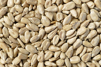slunečnicová semínka, jádra, jídlo, oloupané, Svačina, organický, ptačí jídlo, ptačí zob, halda, textura, makro