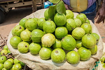 guava, ovoce, Indie, tropický, zelená, zdravý, mohan, nannapaneni