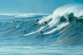 surfing, sea waves, ocean waves, surfers, clear skies, big waves, adventure, skill, group surfing, water sports, outdoor activities