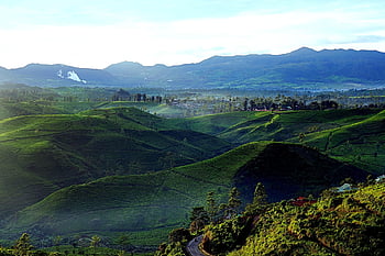 reise, natur, utforskning, utendørs, oppdagelse, te hage, hage, Vest-Java, turistdestinasjon