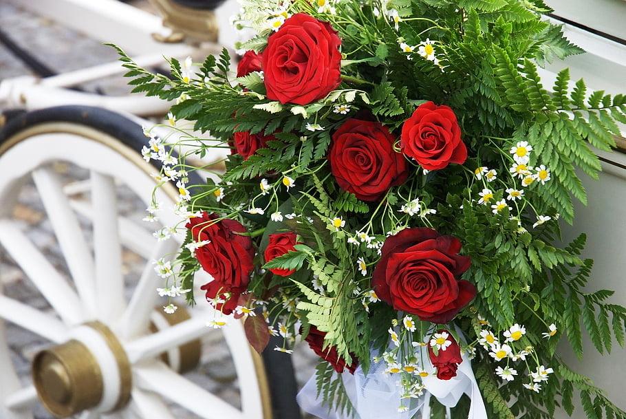 casamento, flores, Νόβιδο