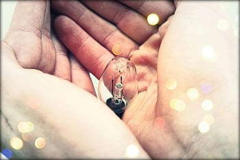 human hand, clear bulb, centered bulb, light bulb, hands holding, bokeh effect, close-up shot, human touch, small bulb, soft focus, warm lighting