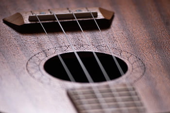 ukulele, zene, szeretet, dalok, hangszer, akusztikus, gitár, zenei, szórakozás, hawaii, húrok