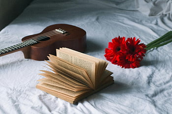 cozy still life, guitar, book, red flowers, bed, aesthetic arrangement, open book, red gerbera, musical instrument, cozy scene, floral arrangement
