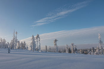 winter, snow, finland, cold, nature, landscape, white, frost, trees, frozen, sunrise