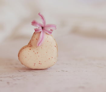 macaron, srdce, pečivo, Srdce macaron, milovat, francouzské pečivo, francouzský zákusek makarónek, sněhová pusinka, mandlové pusinky, cookie, sladký