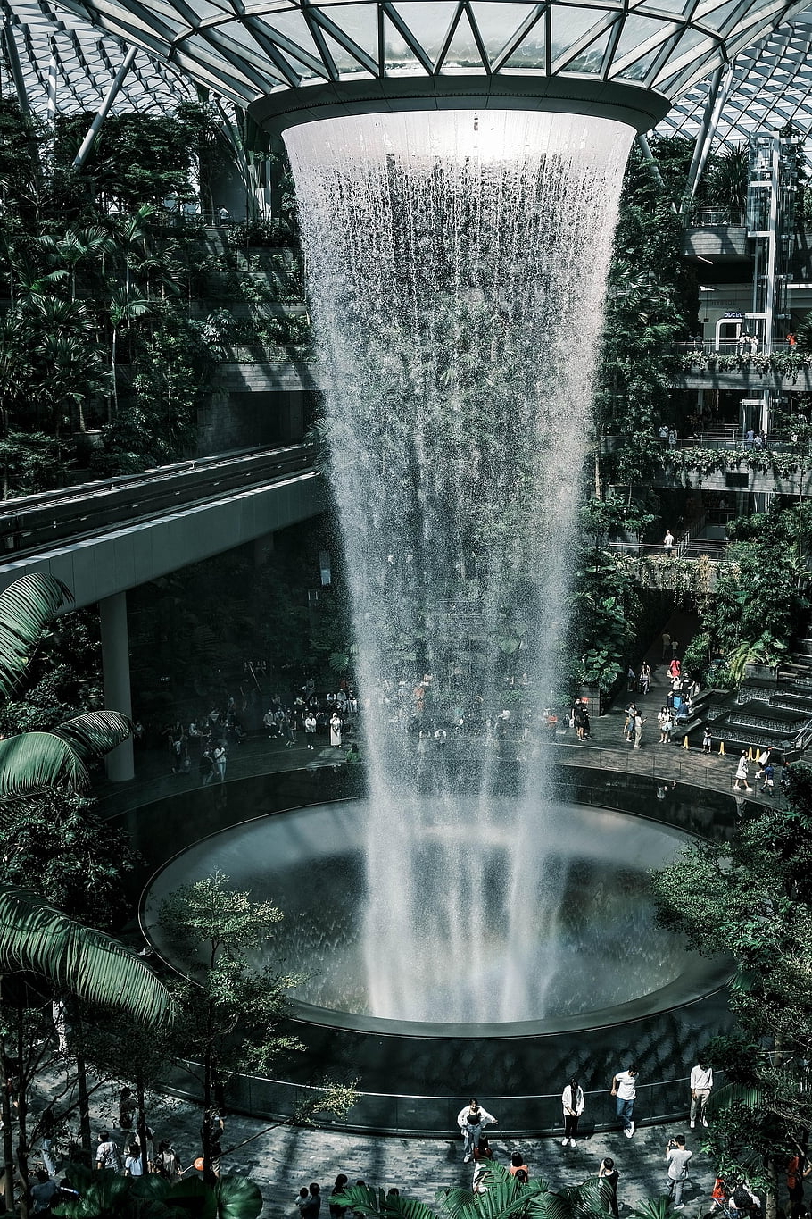letiště jewel changi, atrakce, singapore, les, Příroda, architektura, strom, budova, rostlina, lidé, Dům