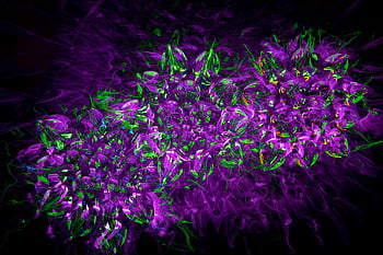 Абстрактно дигитално изкуство, Животно лилаво, Зелени модели, тъмен фон, модерен дизайн, зелено и виолетово, абстрактни модели, цифрови произведения на изкуството, лилаво и зелено, абстрактно изкуство, Съвременни произведения на изкуството
