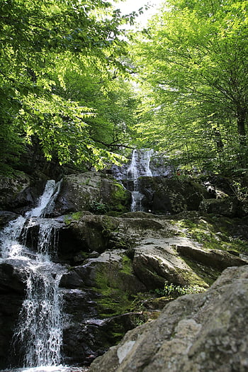 waterfall, nature, water, landscape, scenery, flow, tree, green