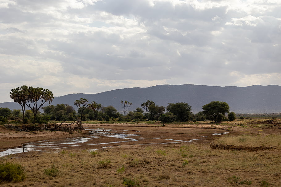 africa, riverbed, landscape, nature, dry, scenic, travel, trees, plants, mountains, cloudy
