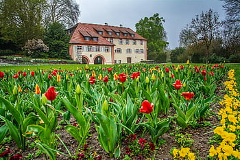 mainau, jezero konstanty, zahrada, majetek, panství, květiny, tulipány, Příroda, ostrov, Německo, venkov