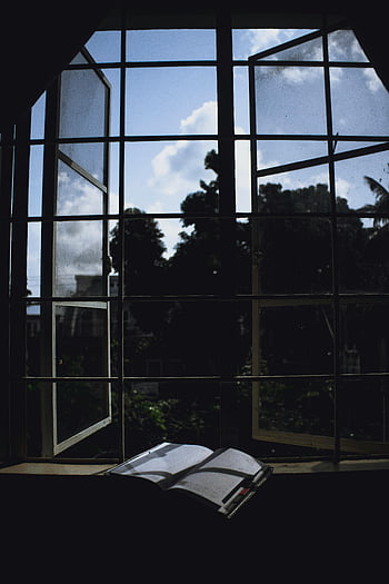deník, stín, parapet, stromy, otevřené okno, mraky, listy, Open Journal, přirozené světlo, klidný pohled, venkovní scenérie