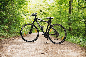 black and white hardtail bike, brown road, lush green trees, forest path, mountain bike, daytime, outdoor, nature, cycling, adventure, trail