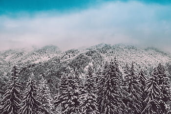 mountain, snow, mountains, winter, nature, summit, mountaineering, pic, holiday, scenic, cold