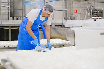 factory worker, blue apron, milk processing, industrial dairy plant, production plant, dairy production, food processing, industrial worker, dairy factory, milk factory, food industry