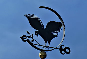 weather Vane, wind Direction, metal, direction, iron, roof, figure, bird, arrows