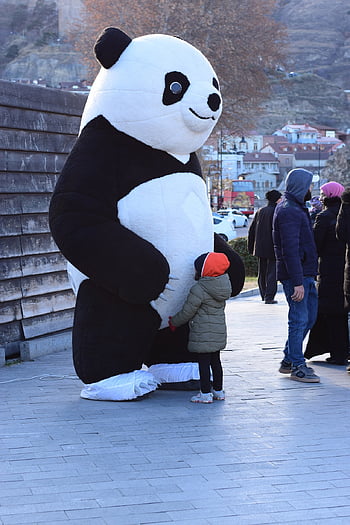 dítě, dětství, panda, medvěd, roztomilý, zvíře, legrační, kreslená pohádka, charakter, teddy, Příroda