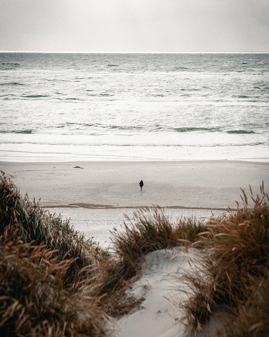 beach, sea, sand Dunes, storm, water, north Sea, denmark
