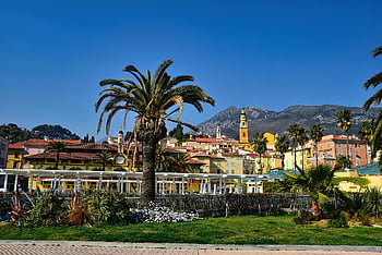 menton, city, park, france, palm Tree, landscape, buildings, town, coast, tourism, cote D'azur