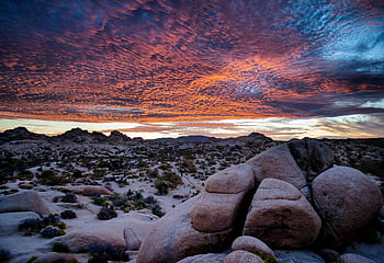 joshua tree national park, auringonlasku, kivimuodostumat, Desertscape, viehättävä, henkeäsalpaava, taivas, maisema, luonto, ulko-, matkustaa
