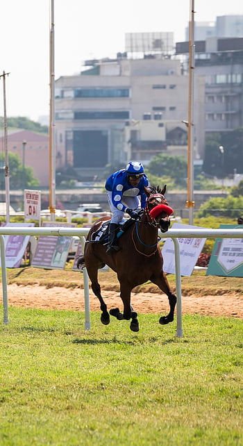 horse Race Photography, horseracing, horseriding, horselover, btc, bangalore, trinetraphotography, photography By Anil Sharma, horse, horse Running, horsebackriding
