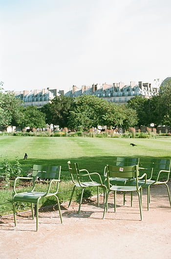 empty seats, green metal chairs, tranquil park, lush trees, green grass field, outdoor seating, park setting, empty chairs, park chairs, serene environment, urban park