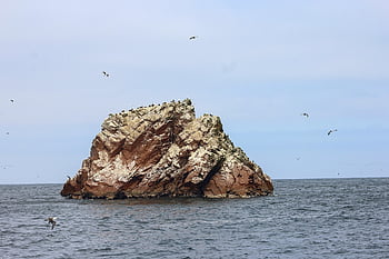 ostrov, paracas, ostrovy ballestas, moře, Příroda, klidný