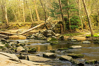 company Mill, old Mill, abandoned Mill, creek, stream, rocks, stone Ruins, ruins, mill, old, 1800