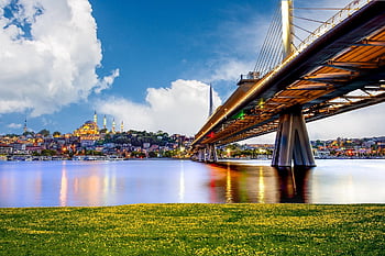 edificios, costa, horizonte, ciudad, paisaje Urbano, arquitectura, urbana, flores, plantas, estados Unidos, américa
