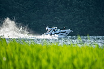 velocità, canottaggio, lago, natura, fiume, yacht, acqua, onda, estate, motoscafo, andare in barca